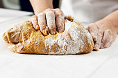 Kneading dough, Making yeast dough, Hands knead dough, Cinnamon buns with pumpkin dough