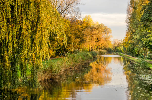 istock Canal in Rotterdam in autumn 1355315641