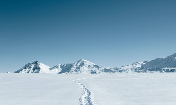 istock Footprint in deep snow in winter landscape 1355315702