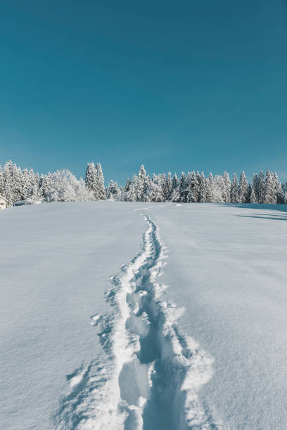 istock Footprint in deep snow in winter landscape 1355315774