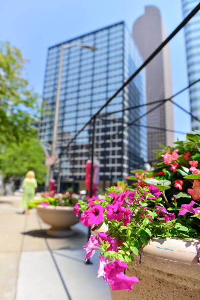 istock Downtown Denver City Life Vibes 1355315854