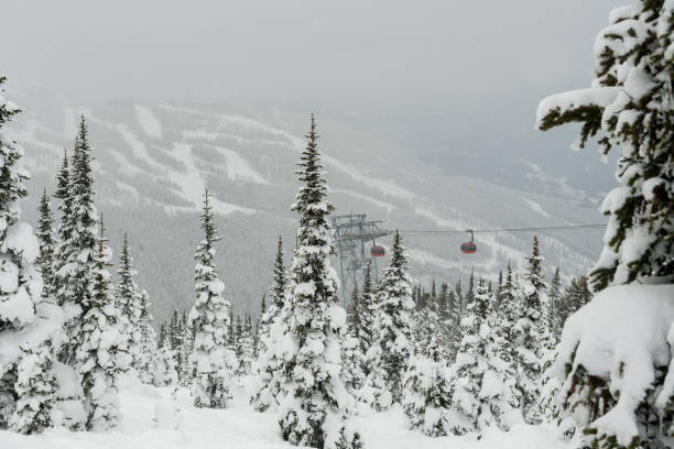istock Gondola at a ski resort on a snowy day 1355317284
