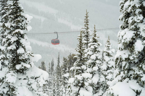 istock Gondola at a ski resort on a snowy day 1355317291