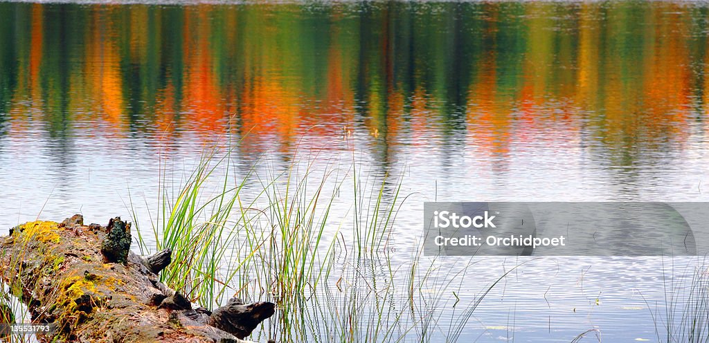 Jezioro odbicie w Algonquin w jesiennym - Zbiór zdjęć royalty-free (Moczar)