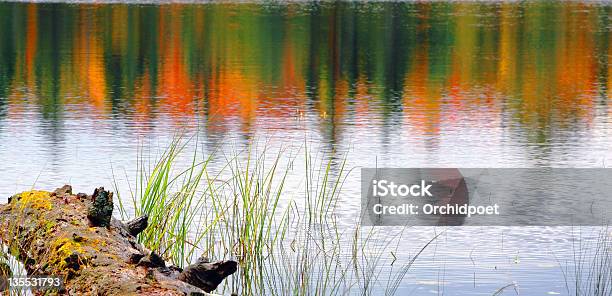Озеро Рефлекшн В Алгонкинский Осенью — стоковые фотографии и другие картинки Топь - Топь, Алгонкинский провинциальный парк, Без людей