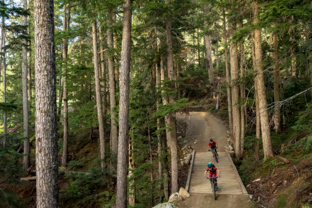 istock Couple on a mountain bike vacation 1355319390