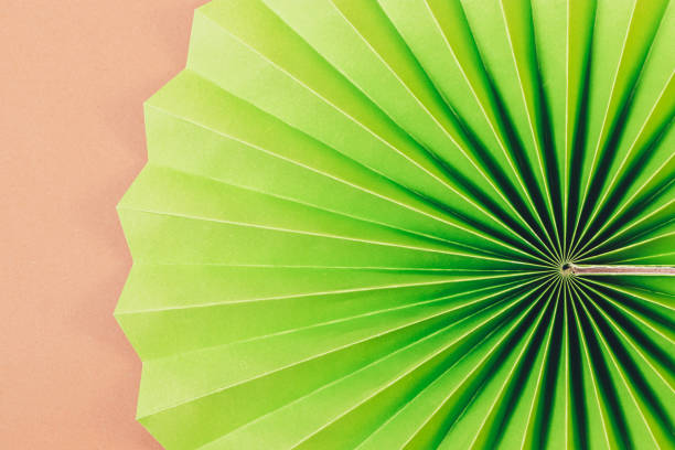 istock Textured green paper fan decoration 1355324656