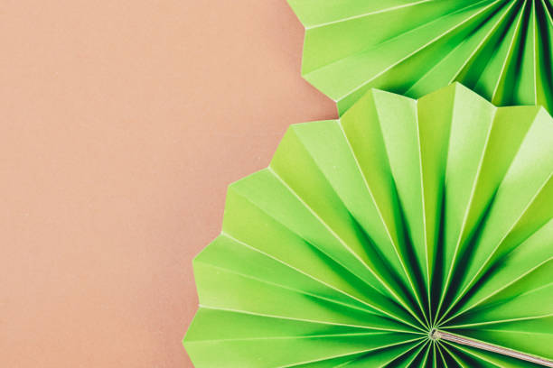 istock Round textured green paper fans on brown background 1355324681