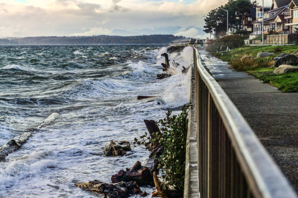 istock Puget Sound Whitewater Shoreline 2 1355325955