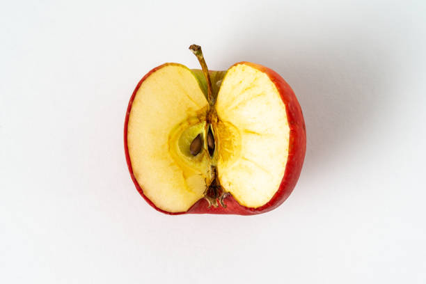 白い背景に分離しわの赤いリンゴ。 - rotting food mold fruit ストックフォトと画像