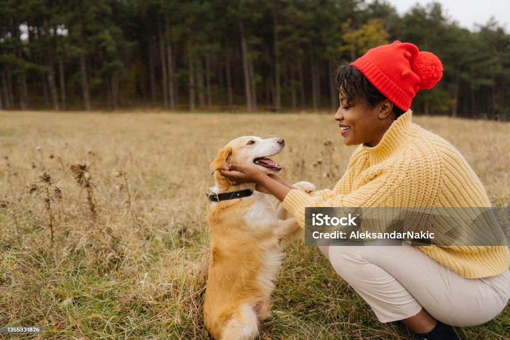 Best buddies Photo of a young smiling woman and her dog spending the day off in nature, away from the city bustle. Dog Stock Photo