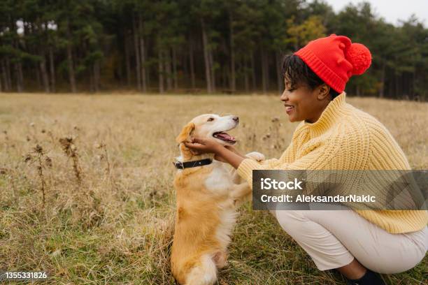 Best Buddies Stock Photo - Download Image Now - Dog, Autumn, Winter
