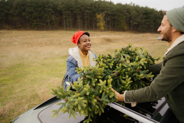 Taking our perfect Christmas tree home