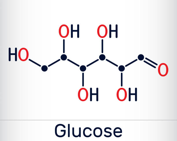 ilustraciones, imágenes clip art, dibujos animados e iconos de stock de glucosa, dextrosa, d-glucosa, glucopiranosa, molécula c6h12o6. es azúcar simple, monosacárido, subcategoría de carbohidratos. fórmula química esquelética - glucosa