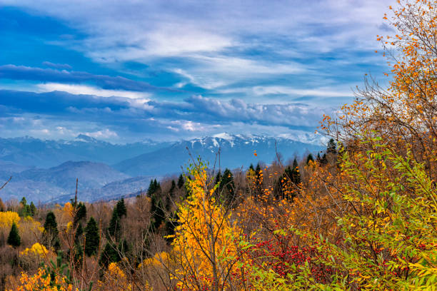 Autumnal trees and snow on hills above the Trenta valley, Primorska, Slovenia, Europe