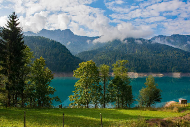 istock Low Water in Sauris Lake, North Italy 1355337173