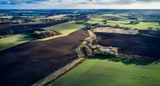 istock Agricultural landscape in autumn 1355339676