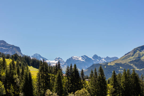 라우터브루넨 계곡에서 - jungfrau region berne canton valais canton eiger 뉴스 사진 이미지