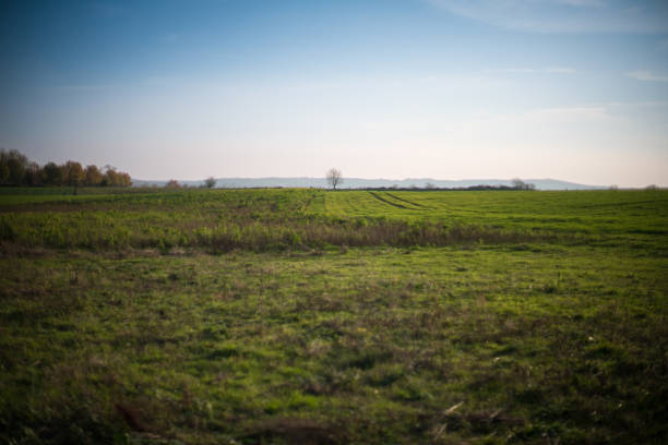 Field on a hill in summer vintage style. Wide view.