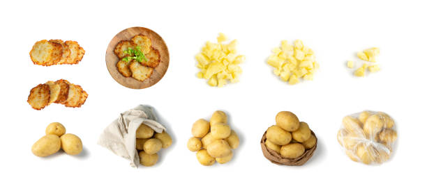 Set of raw and and cooked potato isolated on white background. Big collection of yellow bio potatoes, fresh eco potato tubers set