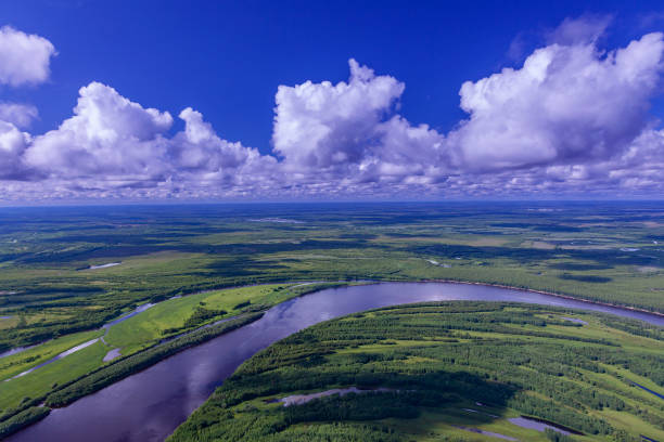 istock Air photo of Forest river 1355347587