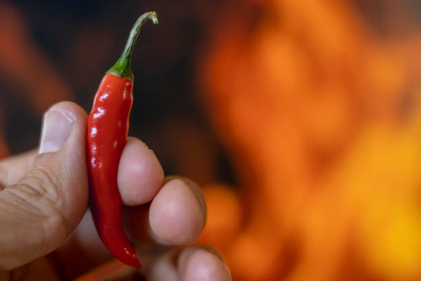 istock Chili pepper spicy hot 1355348328