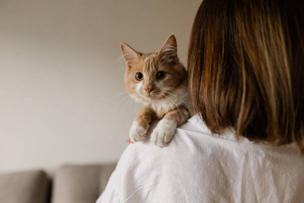 istock Beautiful woman with her Main coon cat at home 1355352992