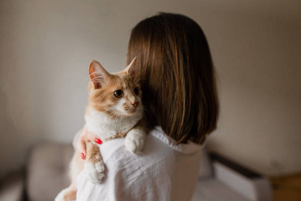 istock Beautiful woman with her Main coon cat at home 1355353169