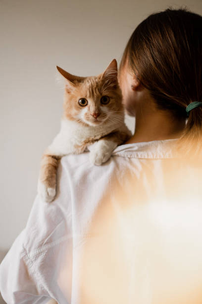 istock Beautiful woman with her Main coon cat at home 1355353307