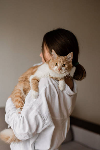 istock Beautiful woman with her Main coon cat at home 1355353445