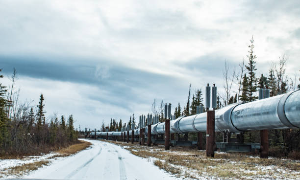 istock The Trans-Alaskan pipeline in Glenn Allen Alaska 1355360879