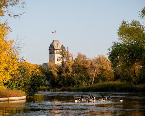 Autumn at the Assiniboine park. The duck pond is very beautiful this time of year.