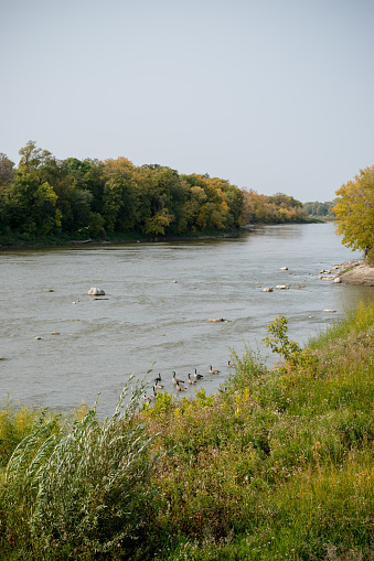 Autumn at the Assiniboine park. The assiniboine ricer is very beautiful this time of year.