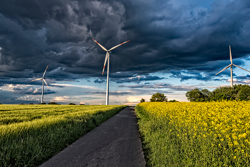 Wind turbines to generate electricity in front of a dramatic sky in a rapeseed field with an agricultural, paved path