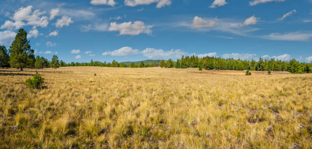 istock Bismarck Lake and Hart Prairie 1355375832