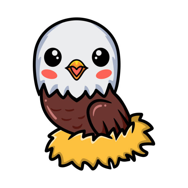 ilustraciones, imágenes clip art, dibujos animados e iconos de stock de linda caricatura de águila pequeña en nido - the phoenix of wits