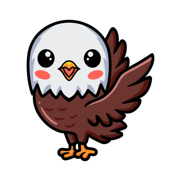 ilustraciones, imágenes clip art, dibujos animados e iconos de stock de linda caricaturita de águila de pie - the phoenix of wits