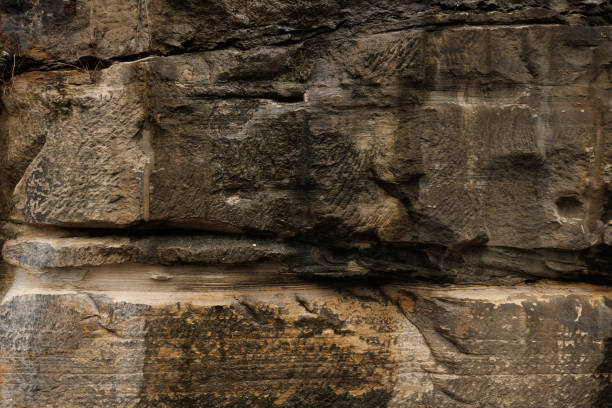 Weathered rock wall detail.