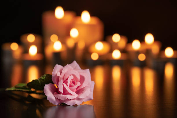 PINK ROSE ON THE GRAVE AND LIGHTED CANDLES UNFOCUSED IN THE BACKGROUND. PINK ROSE ON THE GRAVE AND LIGHTED CANDLES UNFOCUSED IN THE BACKGROUND. memorial stock pictures, royalty-free photos & images