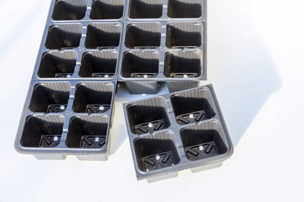 istock Black plastic seedling cassettes for vegetable crops. 1355381585