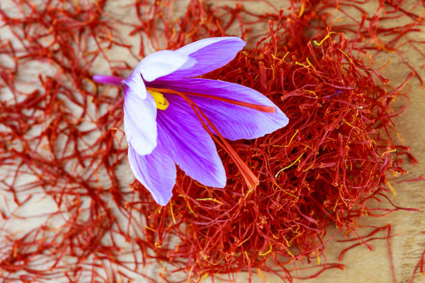 Single crocus flower on a pile of dry saffron stamens. Saffron spice. Saffron stigmas scattered on a wooden surface. Saffron crocus flowers. Flowering saffron sativus. saffron stock pictures, royalty-free photos & images