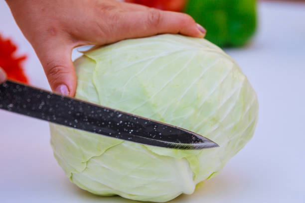 istock Woman slices fresh organic cabbage for making salad or for pickling cabbage. 1355381901