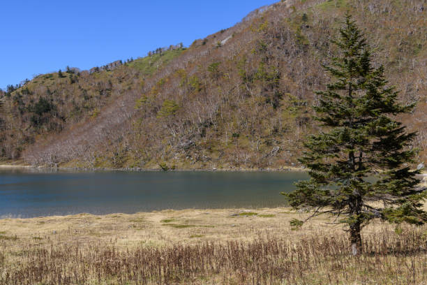 istock Goshikinuma Pond in the autumn 1355389425