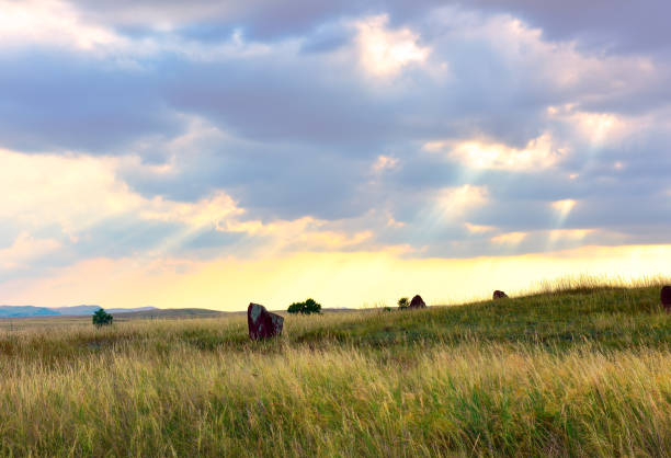 Sacred stones in a grassy field, the sun's rays beating from behind the clouds. Siberia, Russia