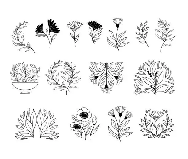Vector illustration of Hand drawn vector botanical illustrations. Linear flowers, leaves, fruits. Simple graphics. Perfect for logos, branding, invitations, greeting cards, quotes, blogs, wedding frames