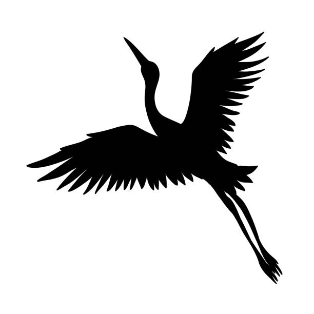 ilustraciones, imágenes clip art, dibujos animados e iconos de stock de la silueta de una grúa voladora sobre un fondo blanco. - heron