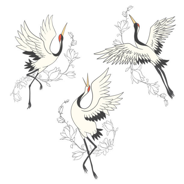 ilustraciones, imágenes clip art, dibujos animados e iconos de stock de conjunto vectorial de ilustraciones pájaro grulla. cigüeña blanca. - traditional culture heron bird animal