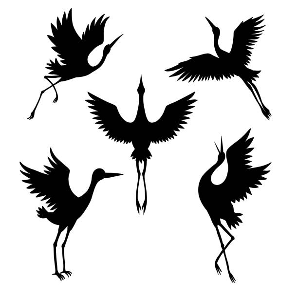 The silhouette of a flying crane on a white background. The silhouette of a flying crane on a white background. Vector illustration crane bird stock illustrations