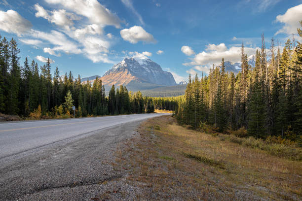 istock Highway in the Rocky Mountains in Banff, Alberta 1355394249