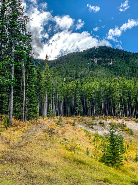 istock Gondola going up the moutain over the forest 1355394328